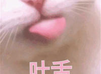 吐舌猫咪可爱表情