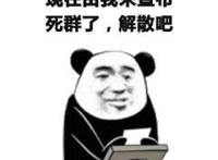 现在由我宣布 死群了  解散吧