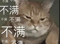 表示不满猫咪表情