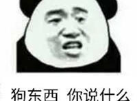 狗东西你说什么