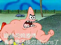 跟我呜呜渣渣 看我揍不揍你就vans了