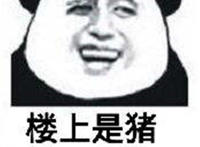 楼上是猪 撤回是狗