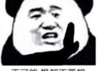 不可能 想都不要想