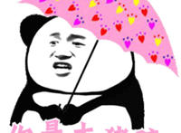 你是大猪蹄子表情