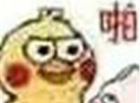 打猪啪 疼不疼 啪 打猪啪 疼不疼 啪