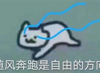 随风奔跑是自由的方向