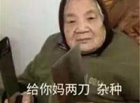 给你妈两刀 杂种