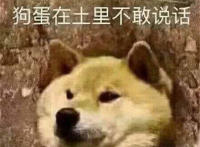 狗蛋在土里不敢说话（狗狗被埋在土里）
