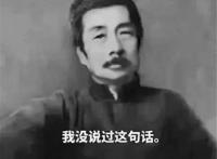 我没说过这句话（鲁迅表情）