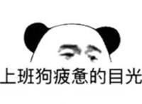 上班狗疲惫的目光