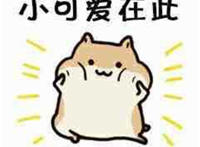 小可爱在此