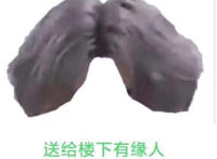 送给楼下的有缘人（蔡徐坤发型）