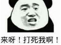 来啊 打死我啊