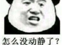 怎么没动静了， 死了吗