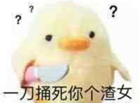 一刀捅死你个渣女（小黄鸭表情）