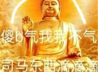 傻逼气我我不气，司马东西滴滴滴（如来表情）