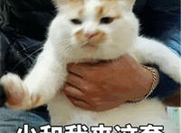 少和我来这套表情