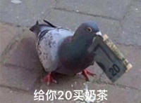 给你20买奶茶 我就不过去了