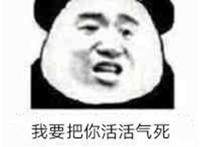 我要活活把你气死