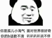 你是孤儿小淘气 面对世界很好奇 你的b话数不清 叭叭叭叭说不停