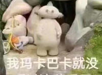 我玛卡巴卡就没受过这种委屈