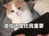 游戏还是比我重要（猫咪哭泣表情）