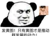 发黄图 只有黄图才是推动群发展的动力