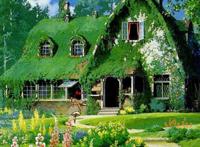 被植物爬满的山村小屋图