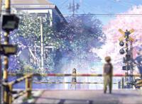 樱花街道情侣对视浪漫图片