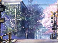 火车道口樱花树春天唯美图片