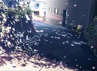 树影下的山区街道拐角图片