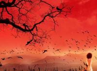 火红黄昏动漫女孩背景图片