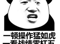 一顿操作猛如虎 一看战绩零杠五