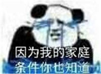 因为我的家庭 条件你也知道