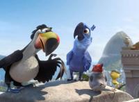 鹦鹉动漫素材图片