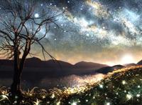 夏日灿烂星光萤火虫唯美夜晚图片