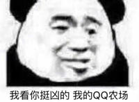 我看你挺凶的 我的QQ农场缺条狗 你明天过来上班吧
