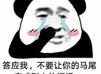 答应我 不要让你的马尾变成别人的缰绳