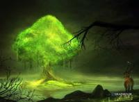 一棵发光的树木图片