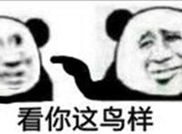 看你这鸟样（指着别人）