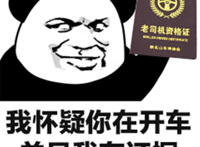 我怀疑你在开车并且有证据（老司机资格证）