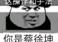 这操作手法 你是蔡徐坤