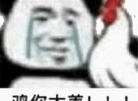 鸡你太美（抱着鸡子）