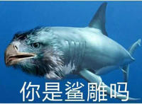 你是鲨雕吗（鲨鱼身子 雕的头）