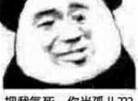 把我气死 你当孤儿