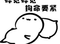 碎觉碎觉 狗命要紧