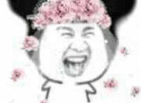 哈哈哈哈大笑表情