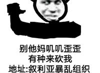 别tm叽叽歪歪 有种来砍我 地址：叙利亚暴乱组织恐怖武装基地 门牌号1-1