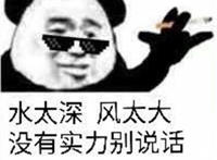 水太深 风太大 没有实力别说话