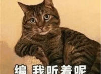 编 我听着呢（猫咪表情）